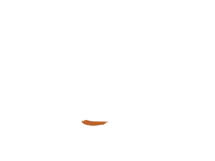 ResAlbert Chalet in Valchiavenna
