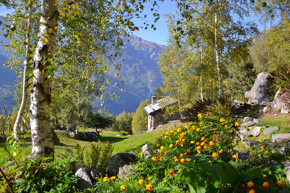 ResAlbert Chalet in Valchiavenna - Panorama